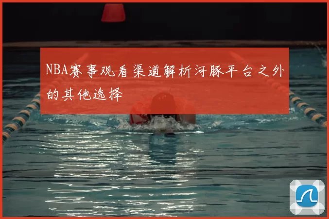 NBA赛事观看渠道解析河豚平台之外的其他选择