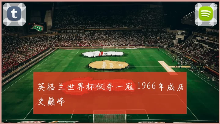 英格兰世界杯仅夺一冠 1966年成历史巅峰