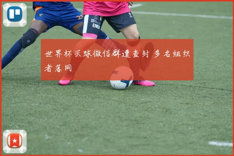 世界杯买球微信群遭查封 多名组织者落网