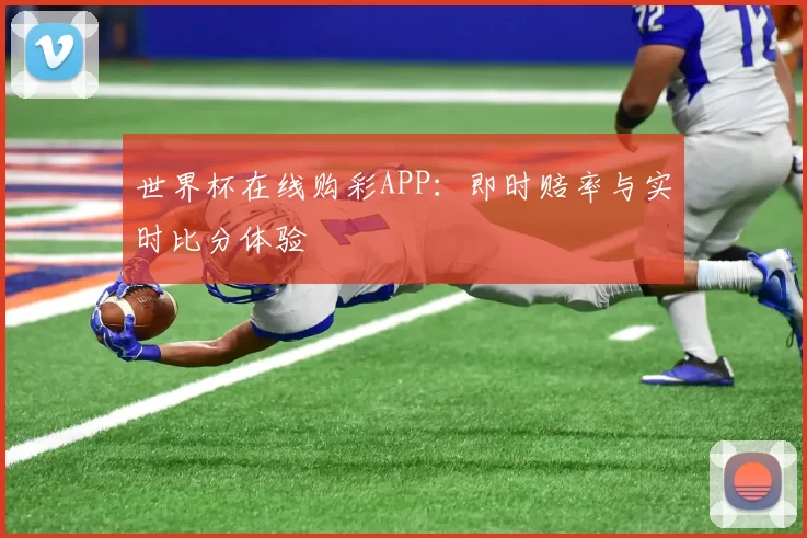 世界杯在线购彩APP：即时赔率与实时比分体验
