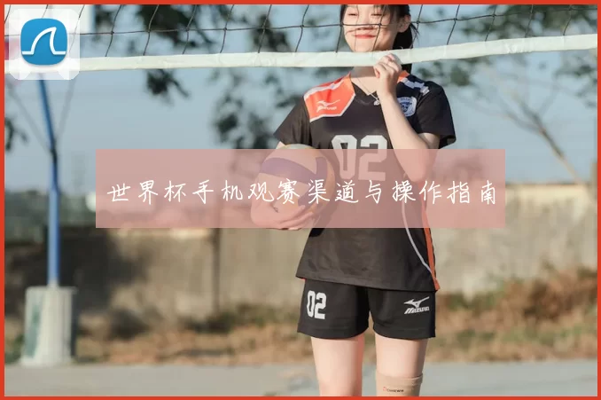 世界杯手机观赛渠道与操作指南
