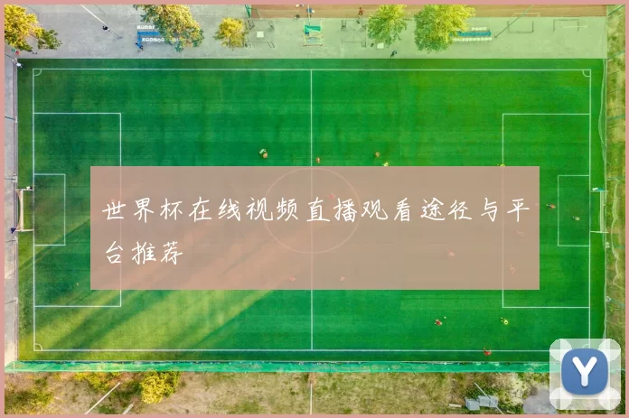 世界杯在线视频直播观看途径与平台推荐