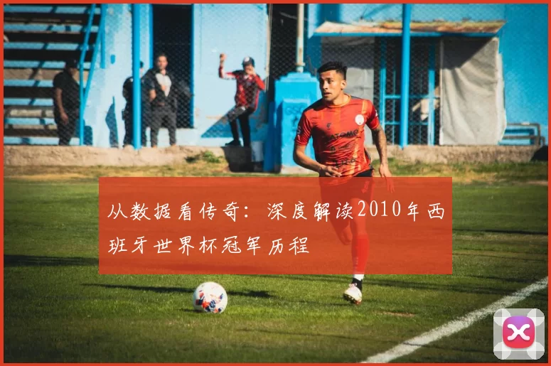 从数据看传奇：深度解读2010年西班牙世界杯冠军历程