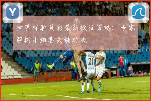 世界杯胜负彩最新投注策略：专家解析小组赛关键对决