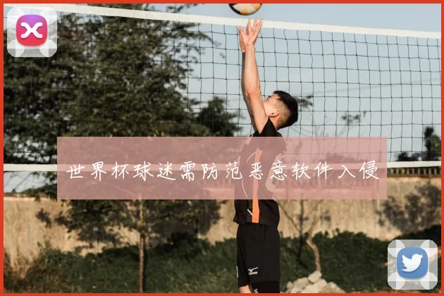 世界杯球迷需防范恶意软件入侵