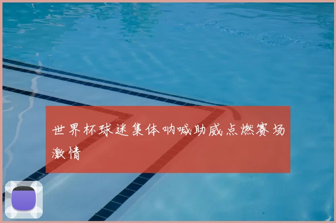 世界杯球迷集体呐喊助威点燃赛场激情