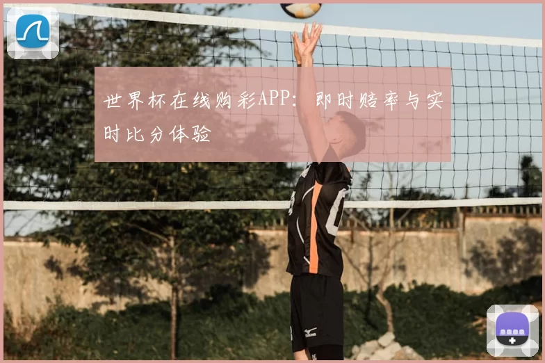 世界杯在线购彩APP：即时赔率与实时比分体验