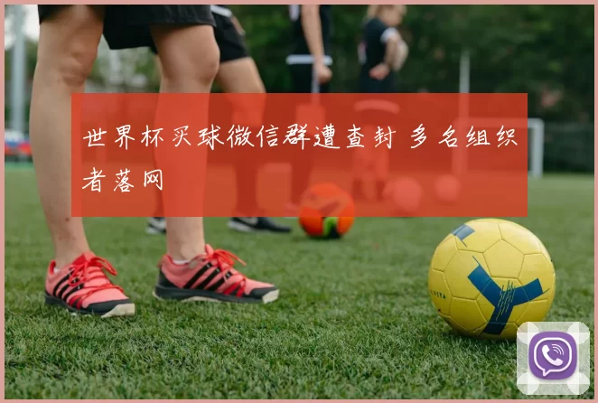 世界杯买球微信群遭查封 多名组织者落网