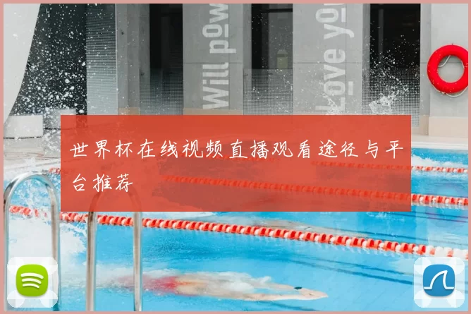 世界杯在线视频直播观看途径与平台推荐