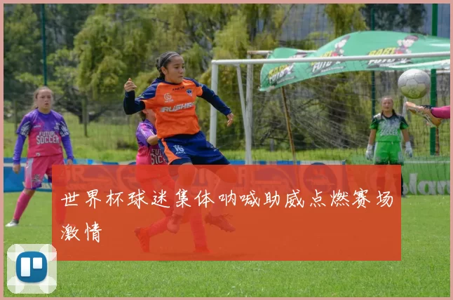 世界杯球迷集体呐喊助威点燃赛场激情